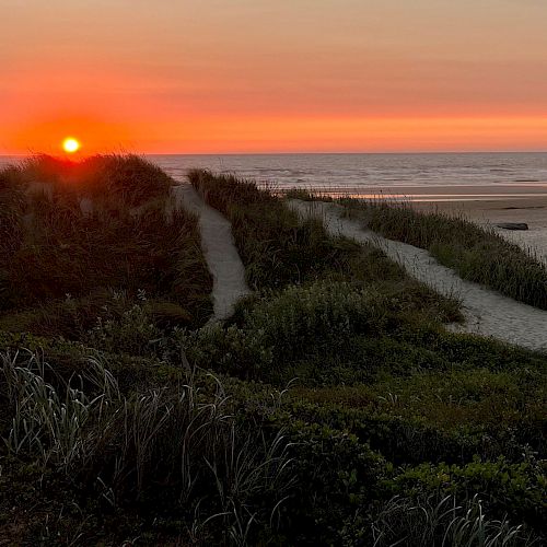 A vivid sunset over a beach, with sandy paths winding through grassy dunes toward the ocean's horizon.