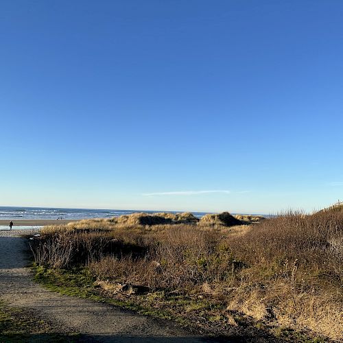 The image depicts a sunny coastal scene with sand dunes, grassy bushes, and a path leading to the beach and ocean under a clear blue sky.